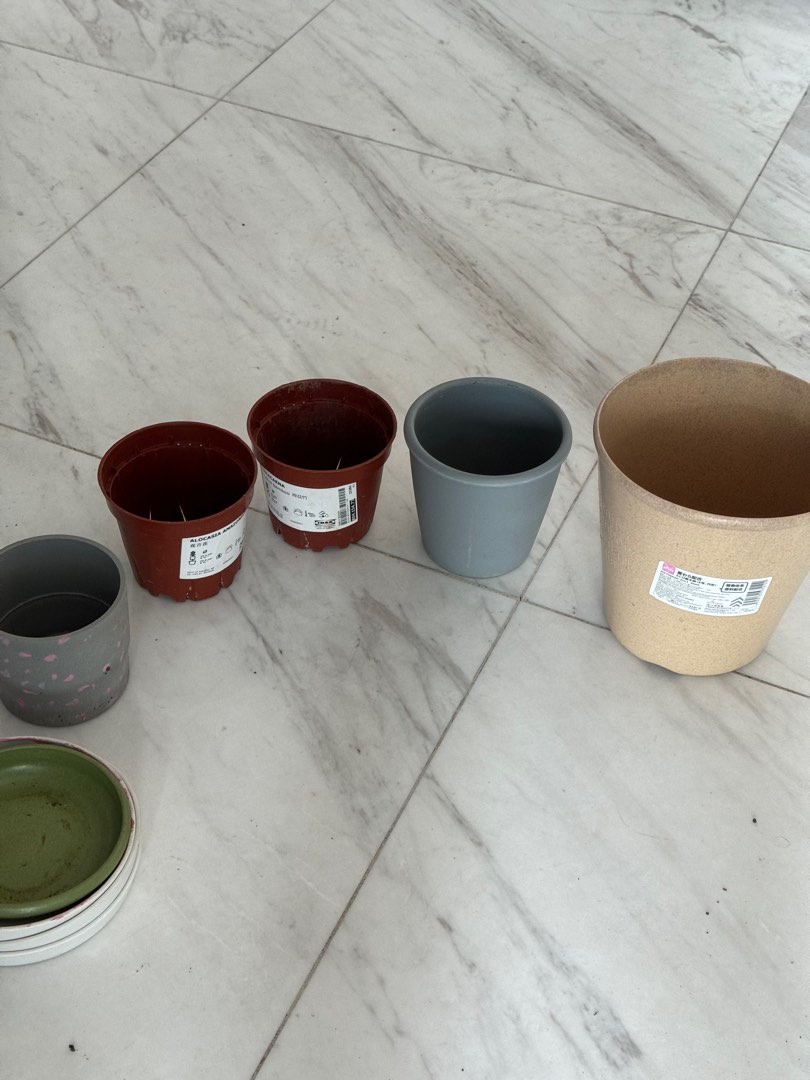 Free planting pots, Furniture & Home Living, Gardening, Pots & Planters