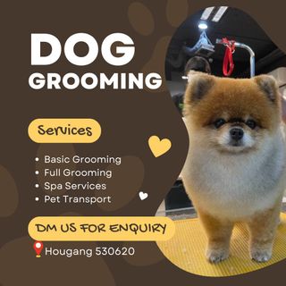 Dog spa home service sales
