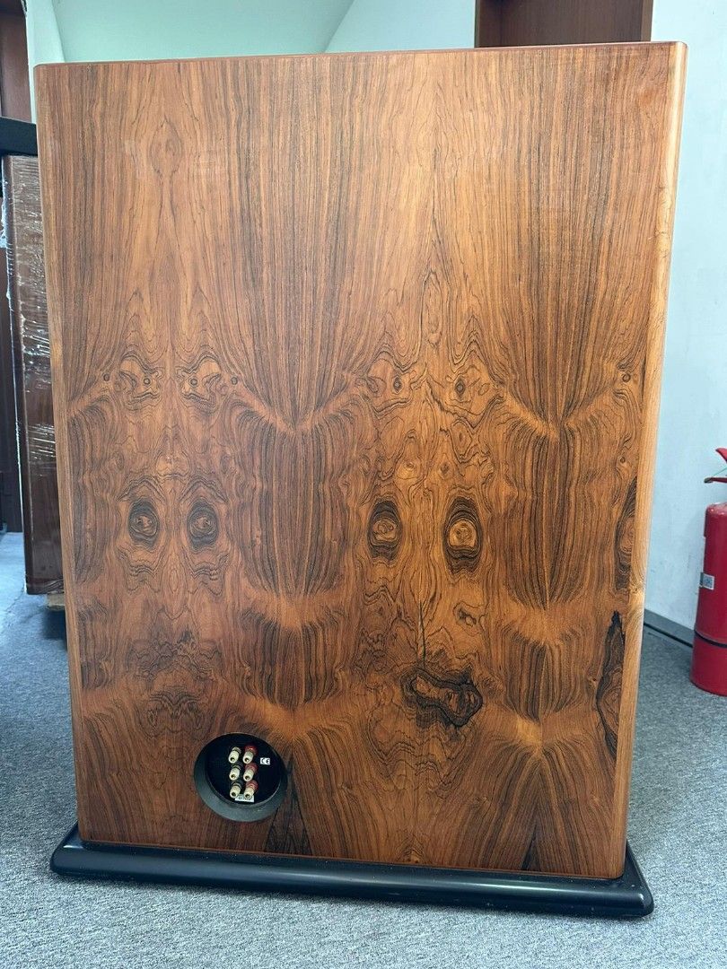 Mcintosh XR290 speaker system, Audio, Soundbars, Speakers & Amplifiers