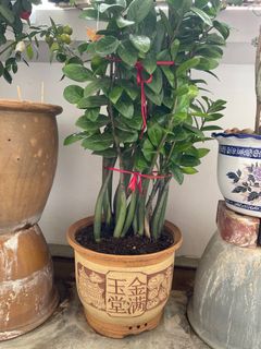 (Category: ) located in . Submitted by pastdecade (Listing ID 1269745374, Image 1). Description: .