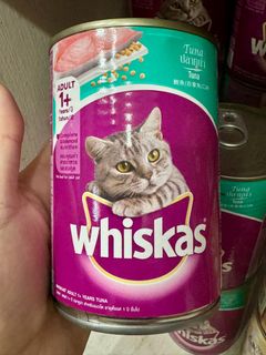 (Category: ) located in . Submitted by pets.r.us.manila (Listing ID 1269711763, Image 1). Description: .