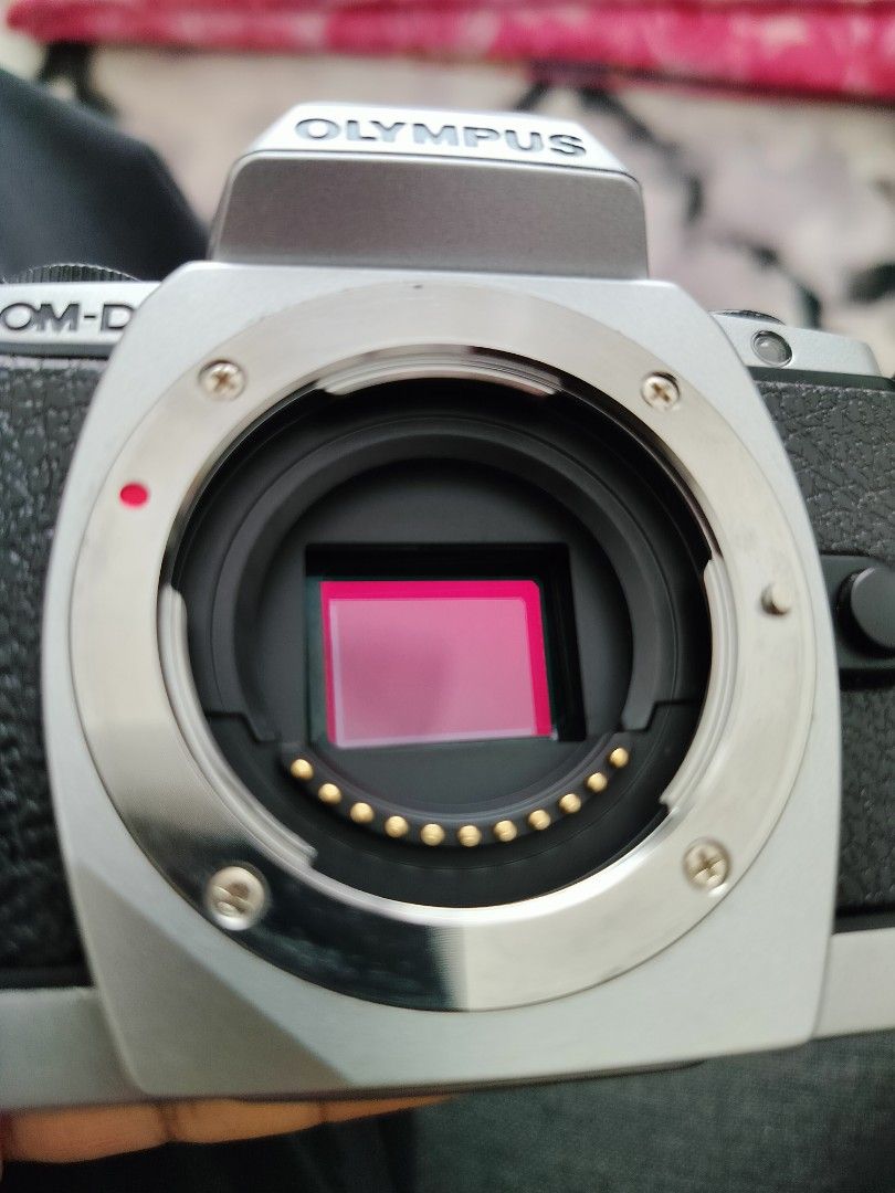 Olympus OMD EM10, Photography, Cameras on Carousell