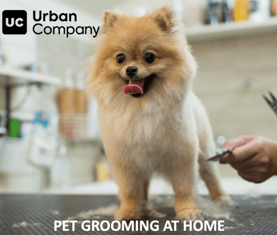 Remote dog grooming sales