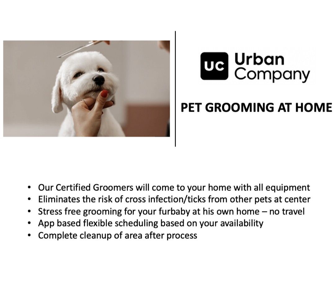 Dog groomers that come outlet to your home