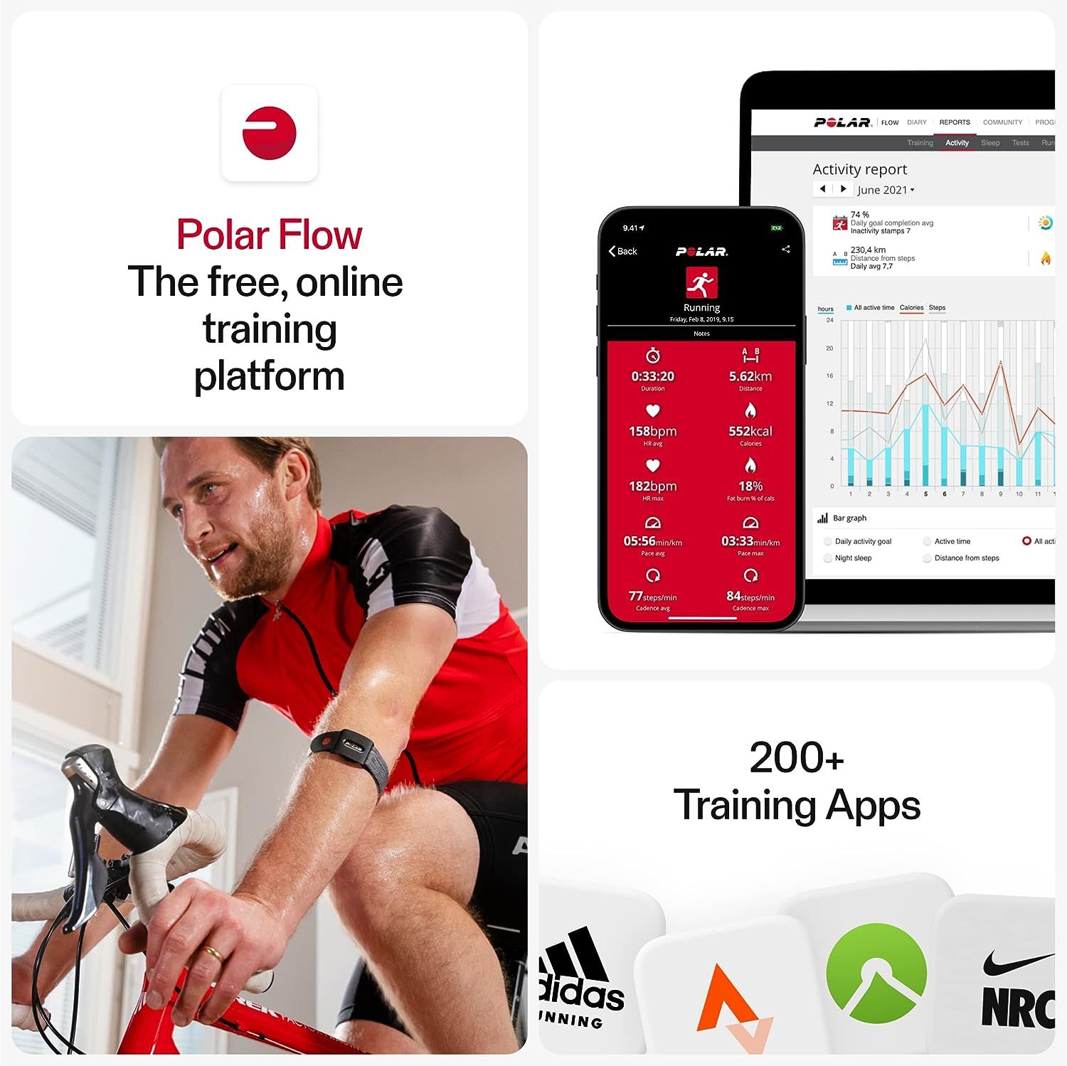 Polar beat outlet ant