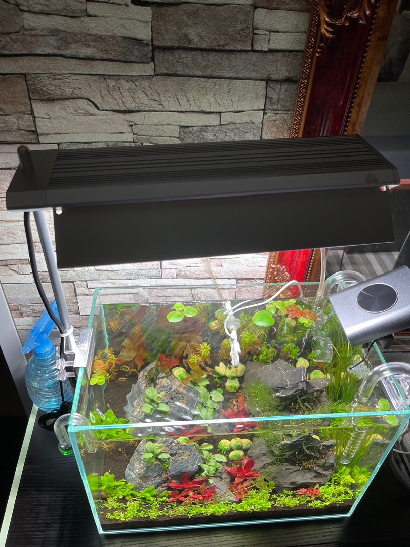 Weekaqua S300Pro, Pet Supplies, Homes & Other Pet Accessories on Carousell