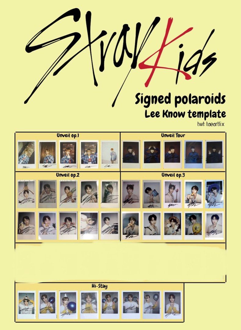UNVEIL チェキ トレカ ハン straykids unveil tour ハン