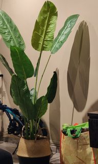 (Category: ) located in . Submitted by ieatpopcorn (Listing ID 1270037270, Image 1). Description: .