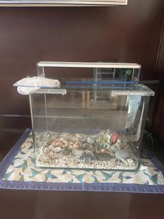 （分類：）位於 。 由 aviven94 提交（商品編號 1269945253，圖片 1）。簡介： 。