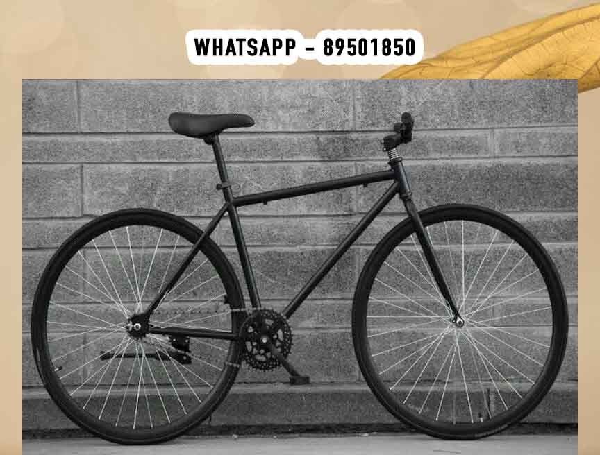 29 inch 2025 fixed gear bike