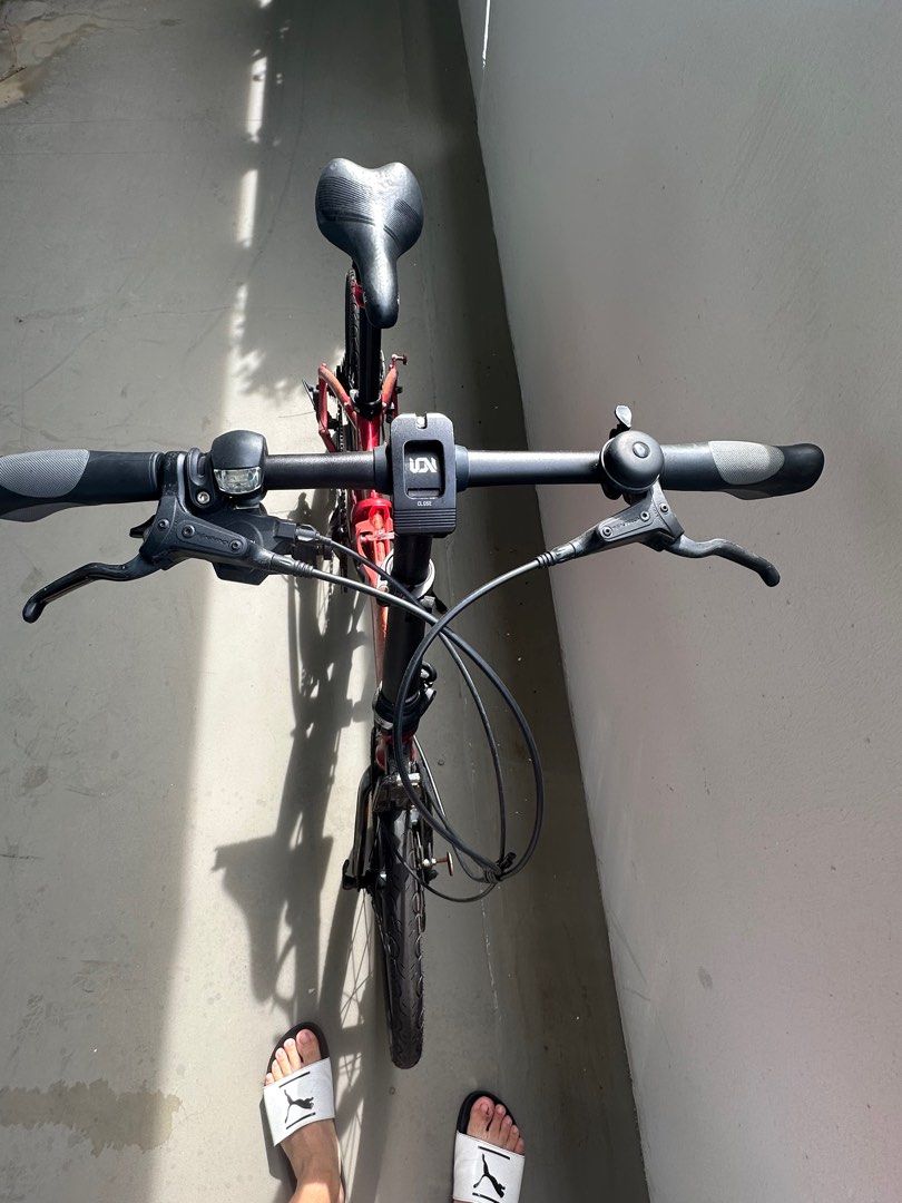 Fold x bike 2025