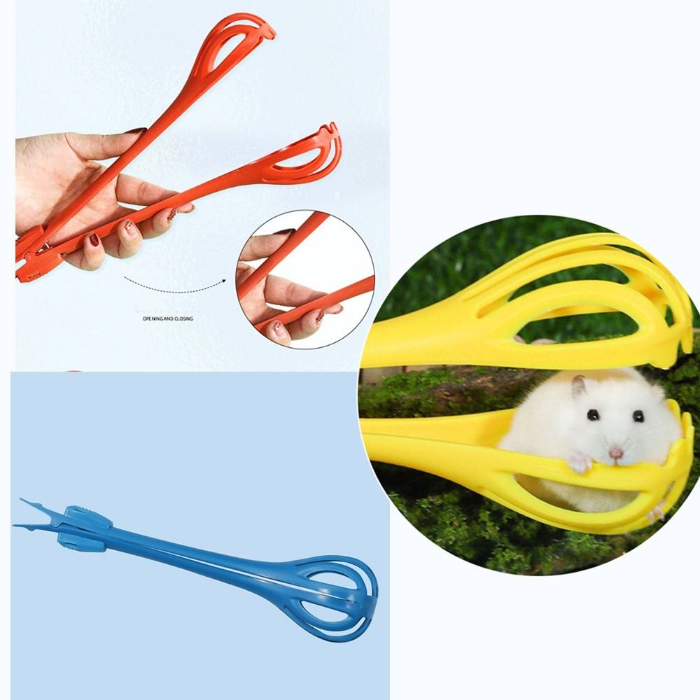 Hamster cleaning supplies new arrivals