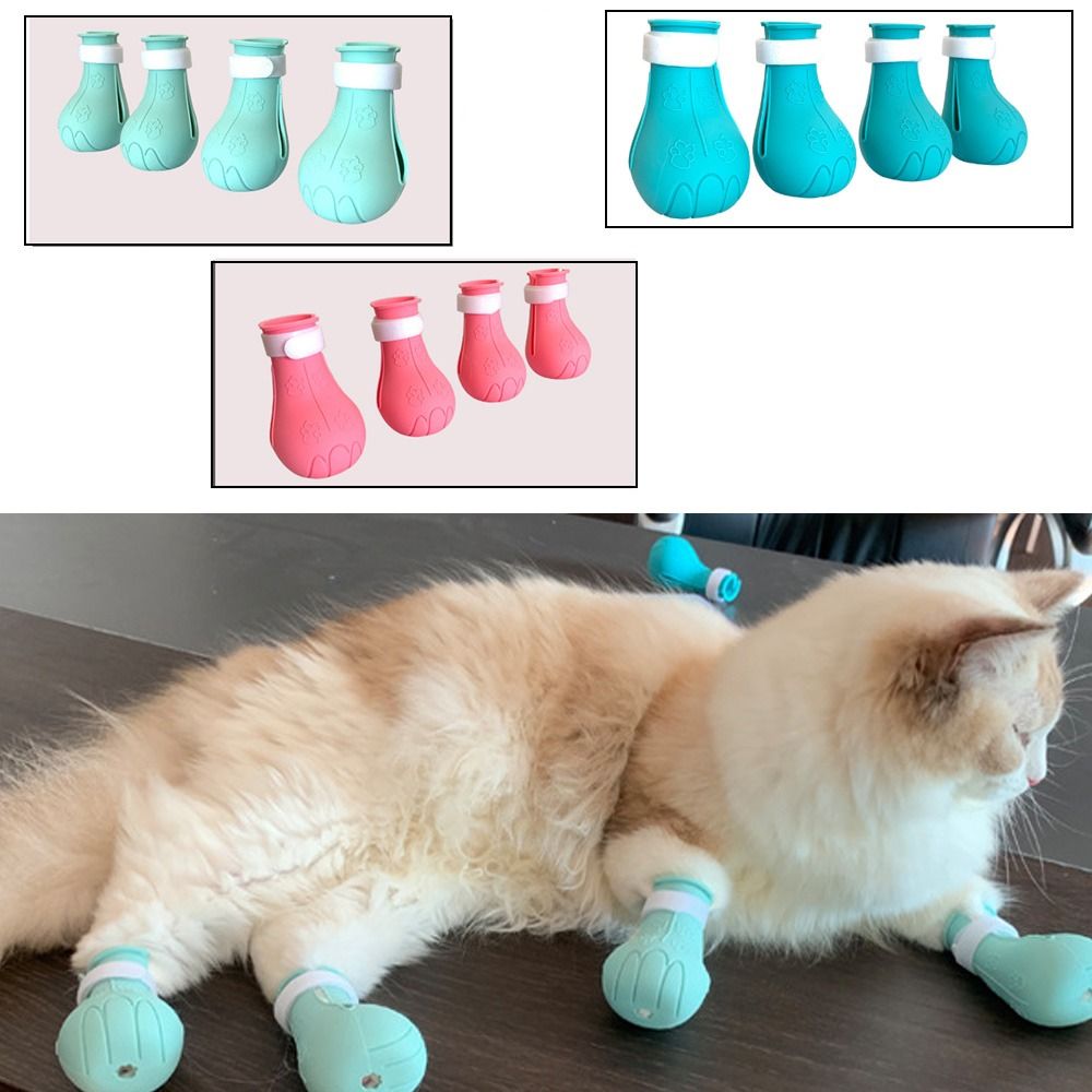 Cat and dog shoes online