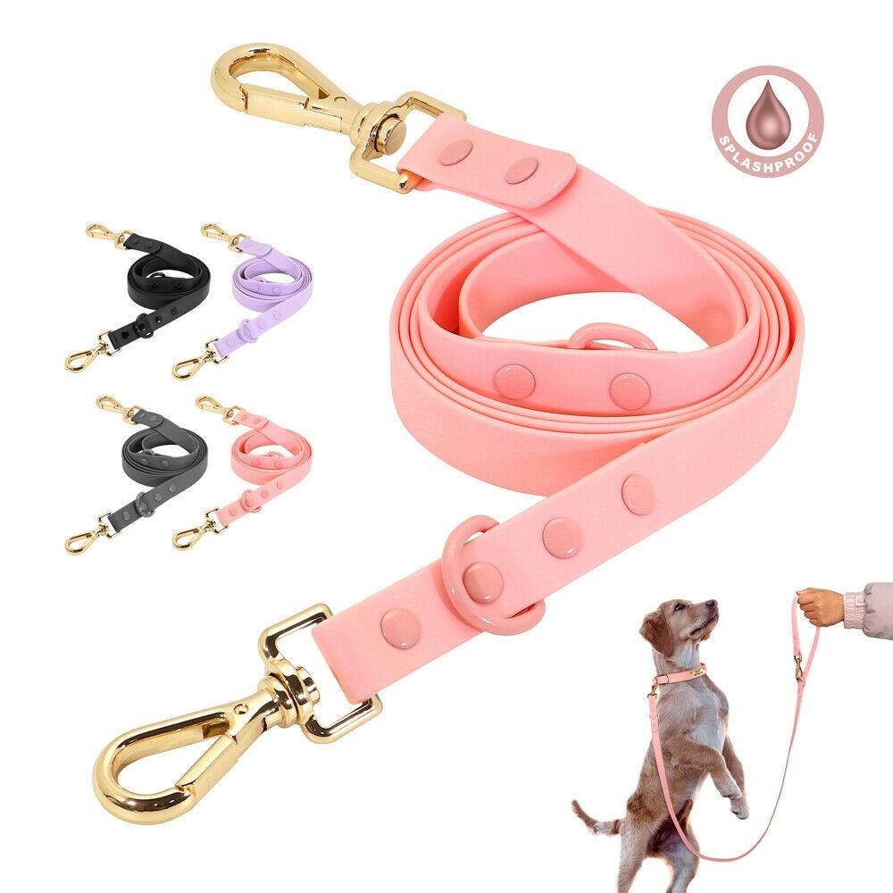 Double ended deals dog leash clip