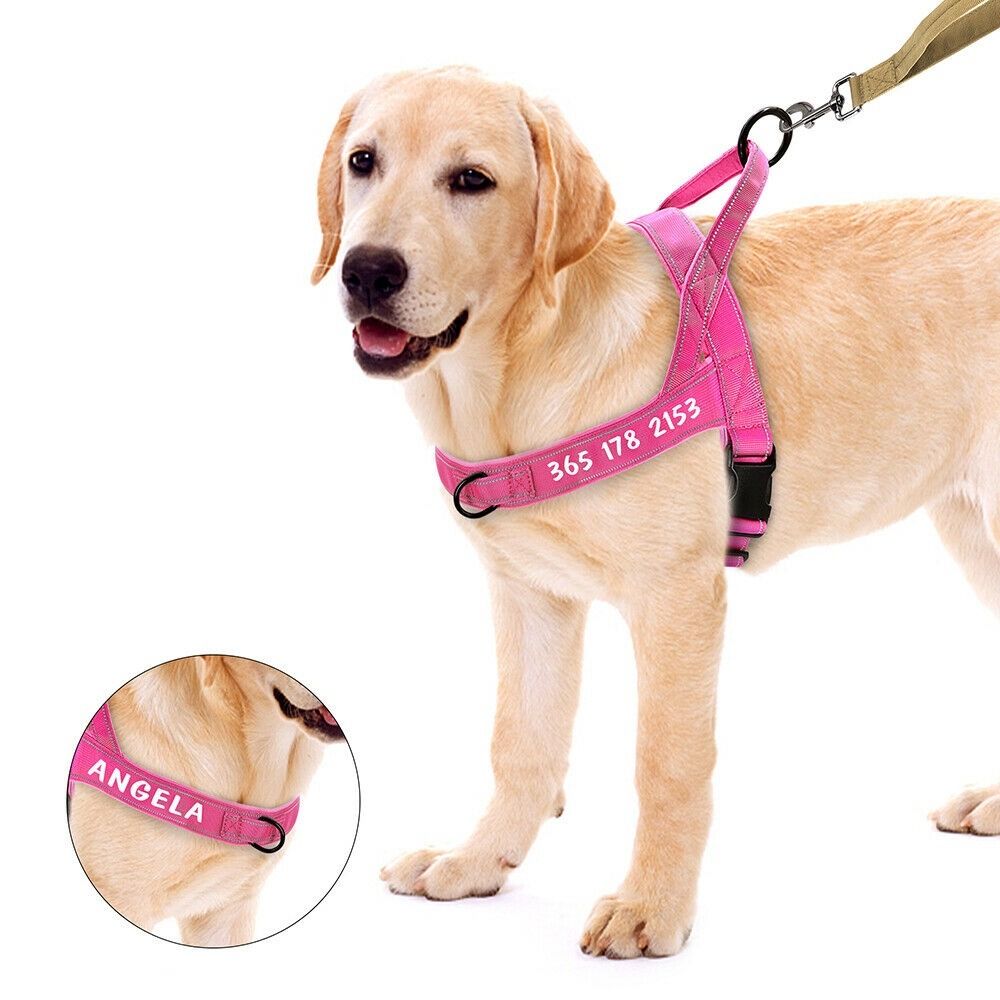 FREE DELIVERY No Pull Personalized Dog Harness Reflective Front