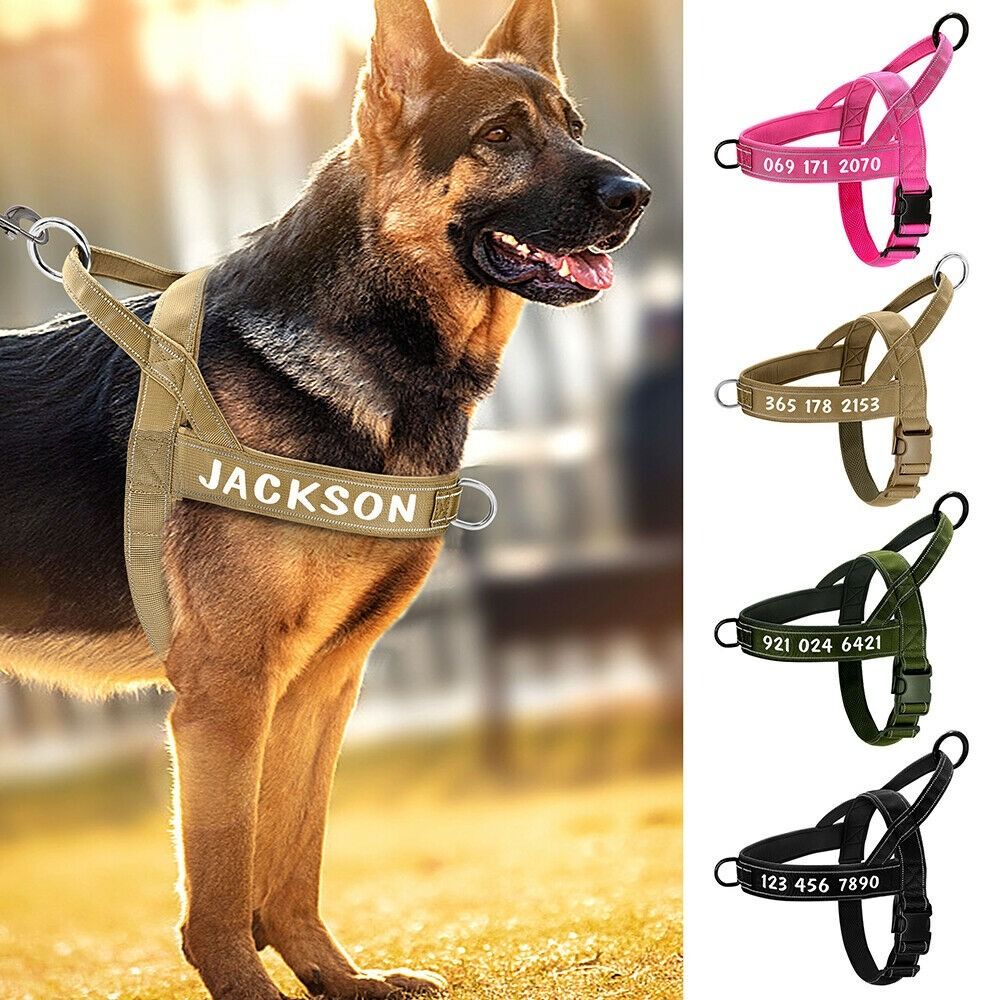 FREE DELIVERY No Pull Personalized Dog Harness Reflective Front