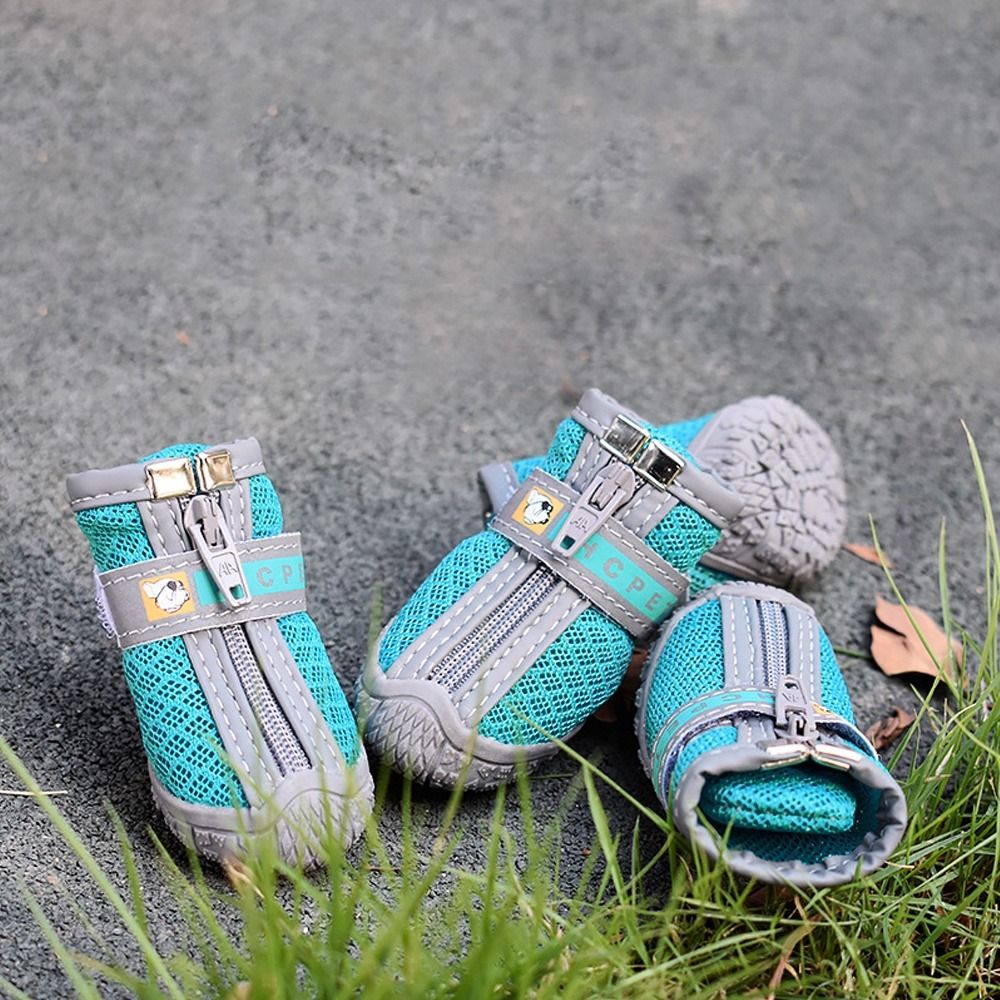 Free dog boots hot sale