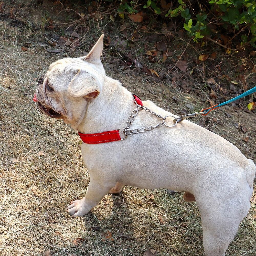 Choke chain collar leash hot sale attachment