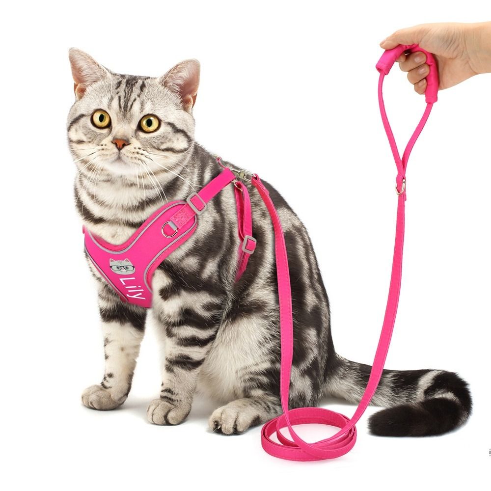 Reflective clearance cat jacket