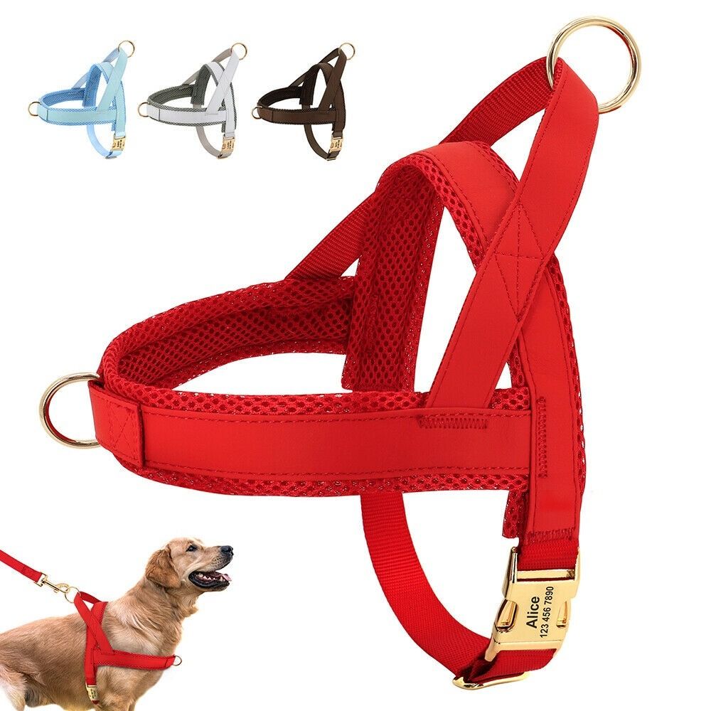 Padded front walking harness hotsell