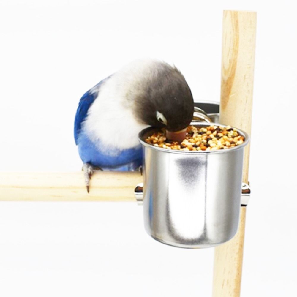 Stainless Steel Bird Feeding Spoons 2PCS, Feed Medicine Milk Food