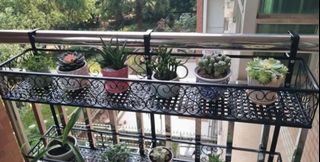 (Category: ) located in . Submitted by piglet0304 (Listing ID 1269985999, Image 1). Description: .