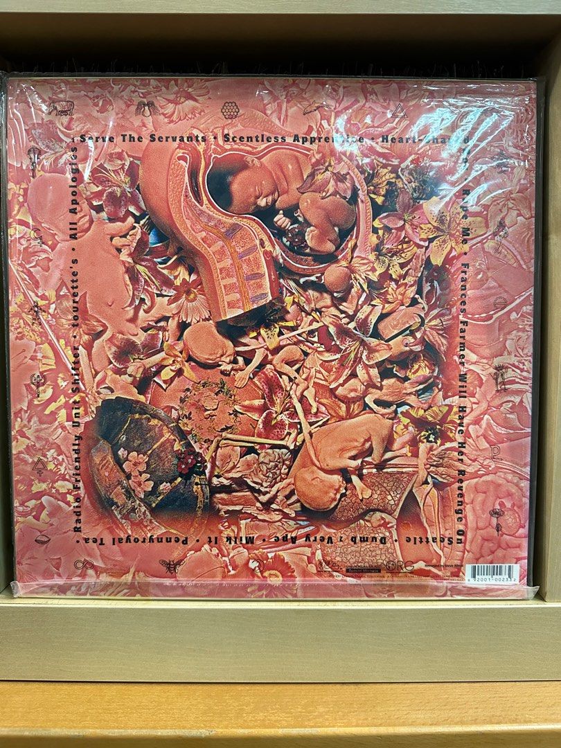 Nirvana-In Utero Vinyl Lp Record, Hobbies & Toys, Music & Media, Vinyls ...