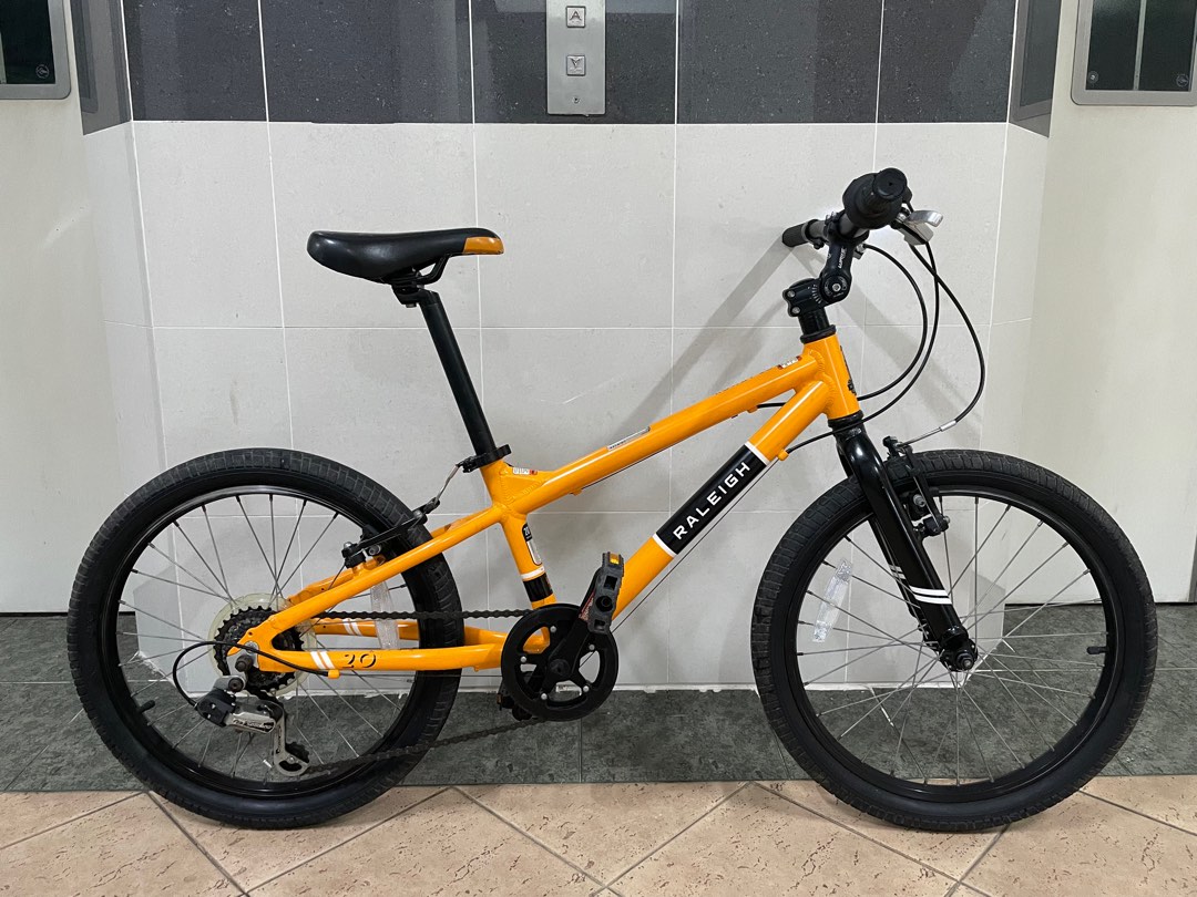 Raleigh rowdy 20 inch bike 2025