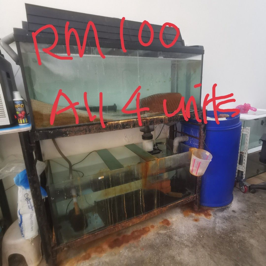 Clearance aquarium supplies 2025