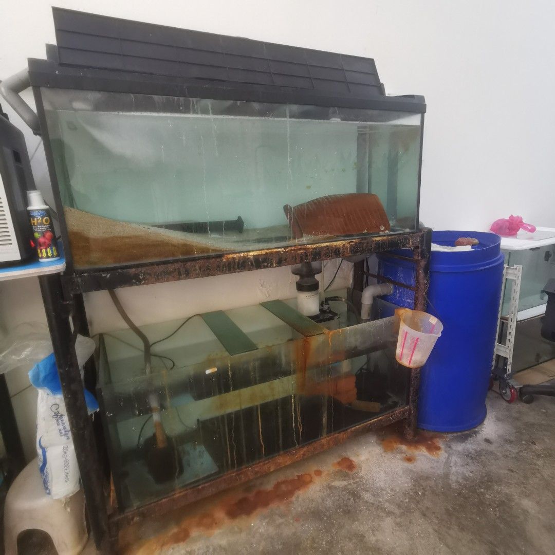 Used hotsell aquarium supplies
