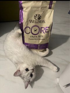 （分類：）位於 。 由 petbarnoutlet 提交（商品編號 1270033222，圖片 1）。簡介： 。