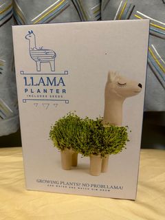 （分類：）位於 。 由 a_liz 提交（商品編號 1270241249，圖片 1）。簡介： 。