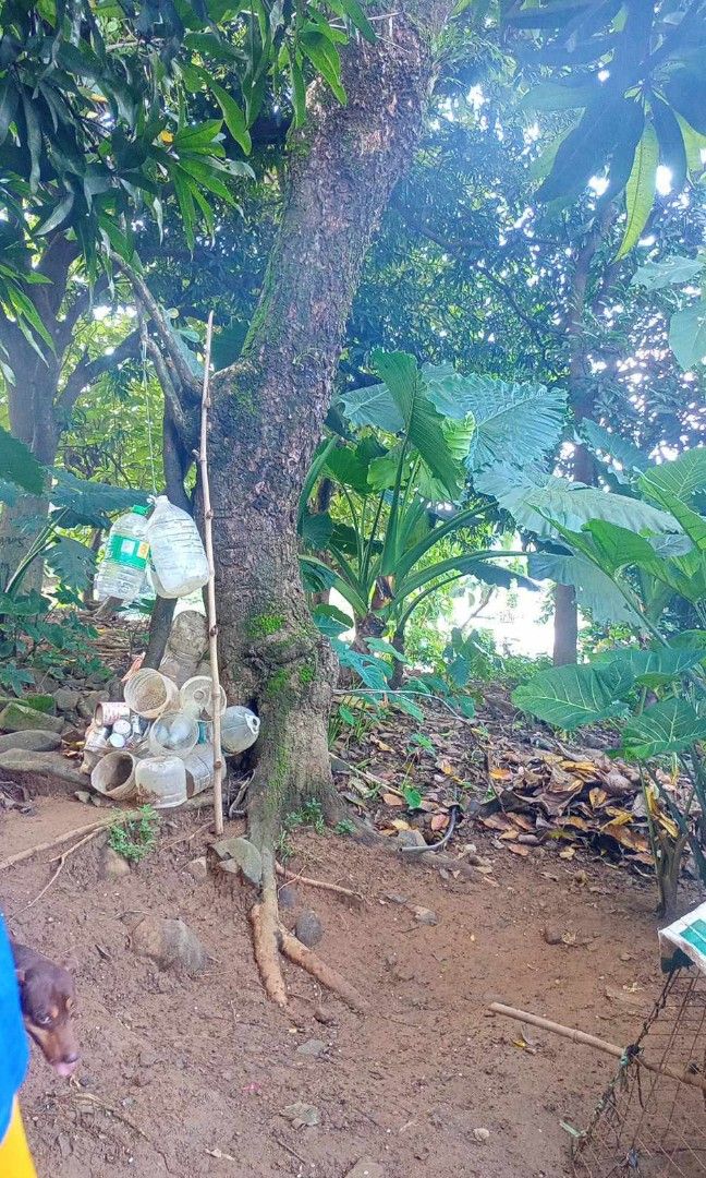 475sqm LOT FOR SALE at Barreto, Olongapo City, Property, For Sale, Lot