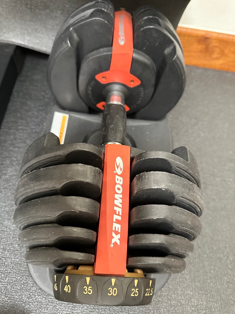 Bowflex Dumbbells, Sports Equipment, Exercise & Fitness, Weights