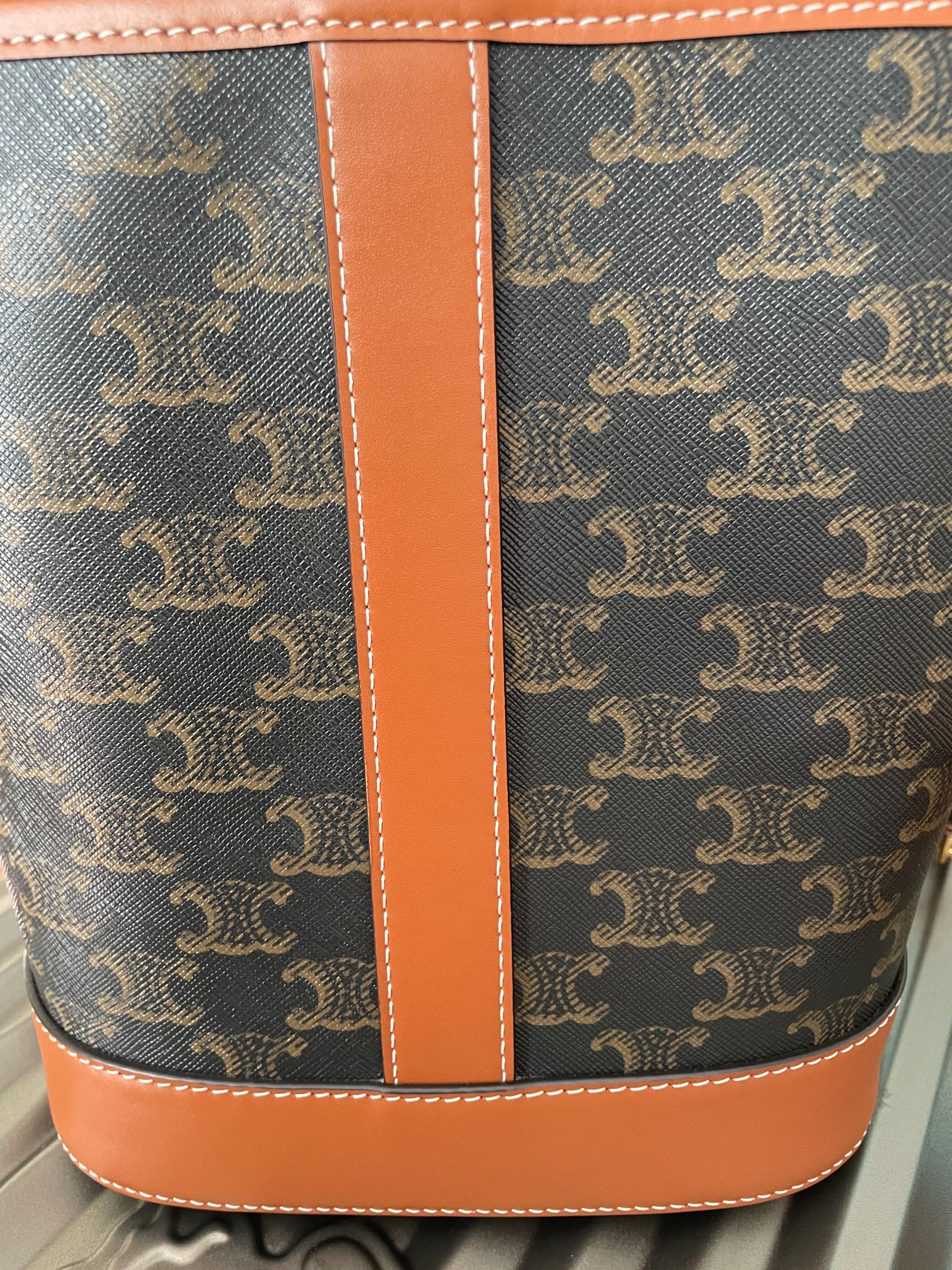 Celine triomphe canvas hotsell