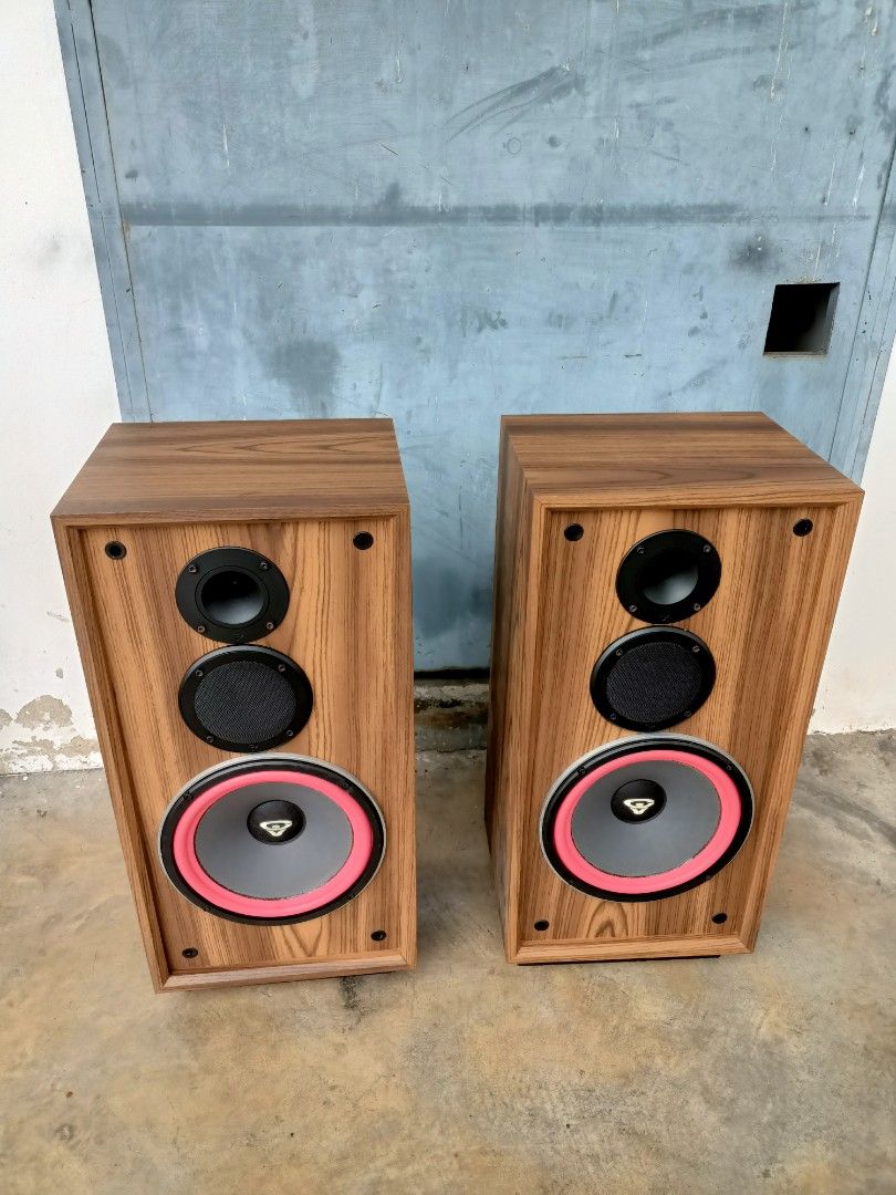 Cerwin vega DX 3