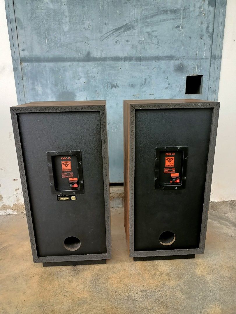 Cerwin vega dx3 2025