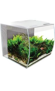 (Category: ) located in . Submitted by ryobi882 (Listing ID 1270189810, Image 1). Description: .