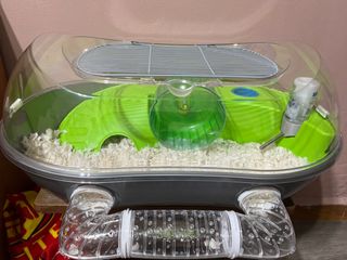 (Category: ) located in . Submitted by dino01 (Listing ID 1270231959, Image 1). Description: .