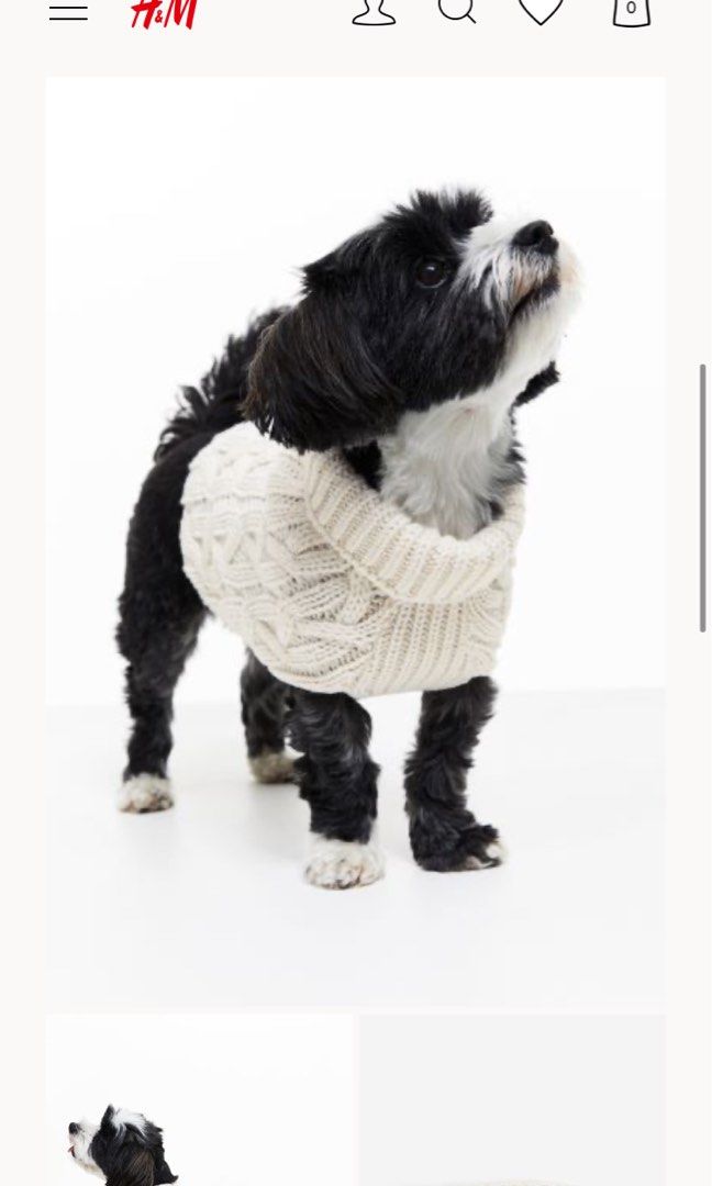H & m dog clothes online