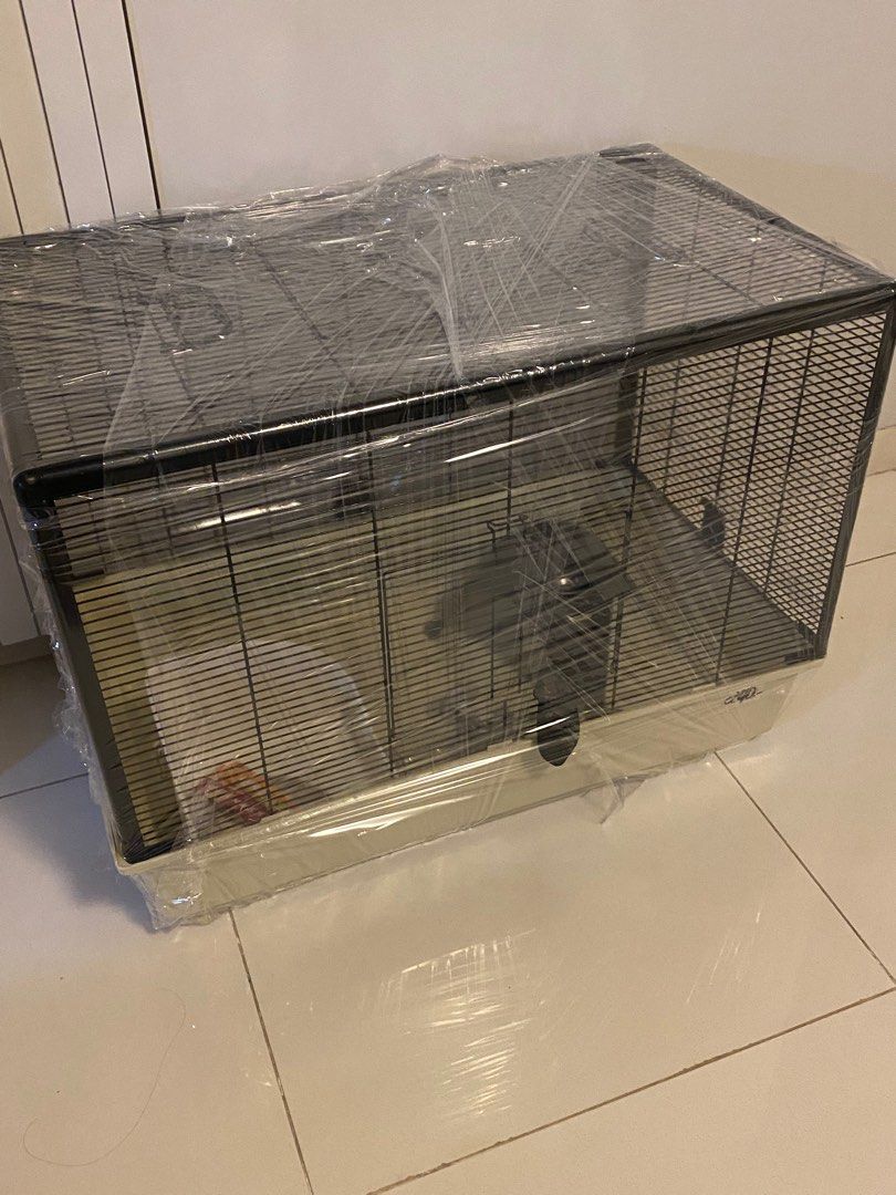 Guinea pig deals critter nation