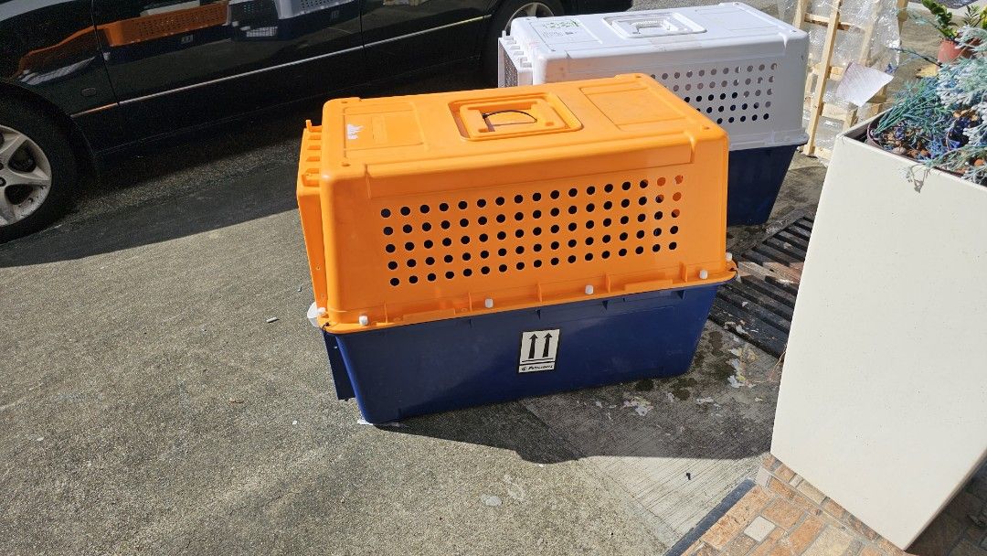 Large Pp60 IATA approved airline dog cat carrier container crate, Pet