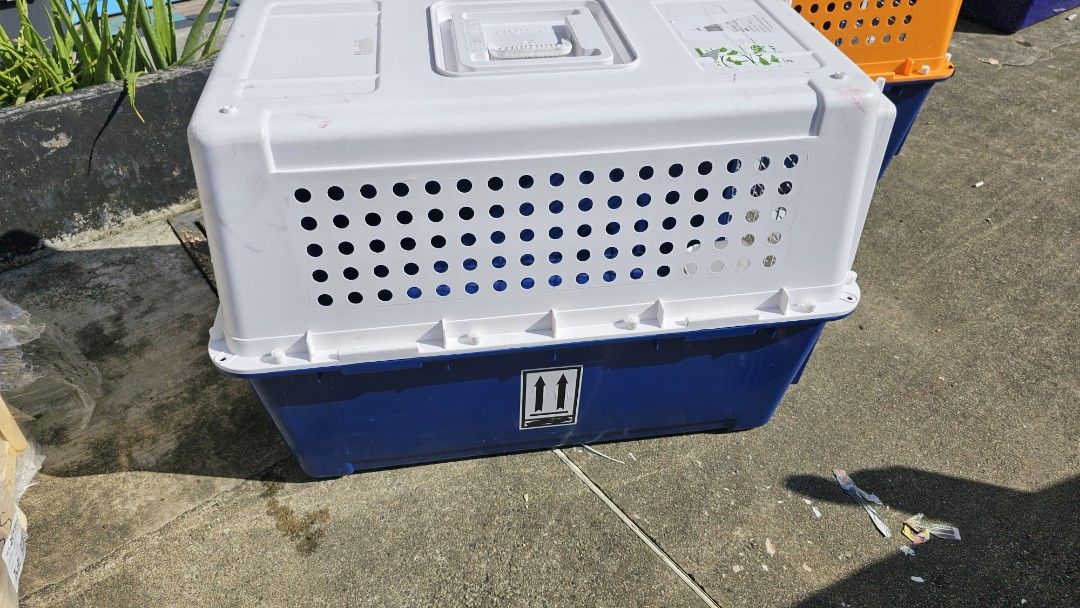 Large Pp60 IATA approved airline dog cat carrier container crate, Pet
