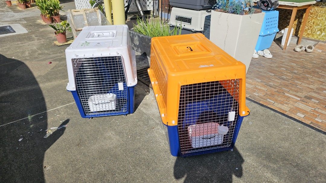 Large Pp60 IATA approved airline dog cat carrier container crate, Pet