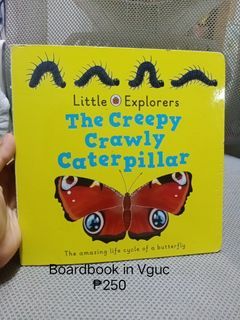 Little Explorers The Creepy Crawly Caterpillar