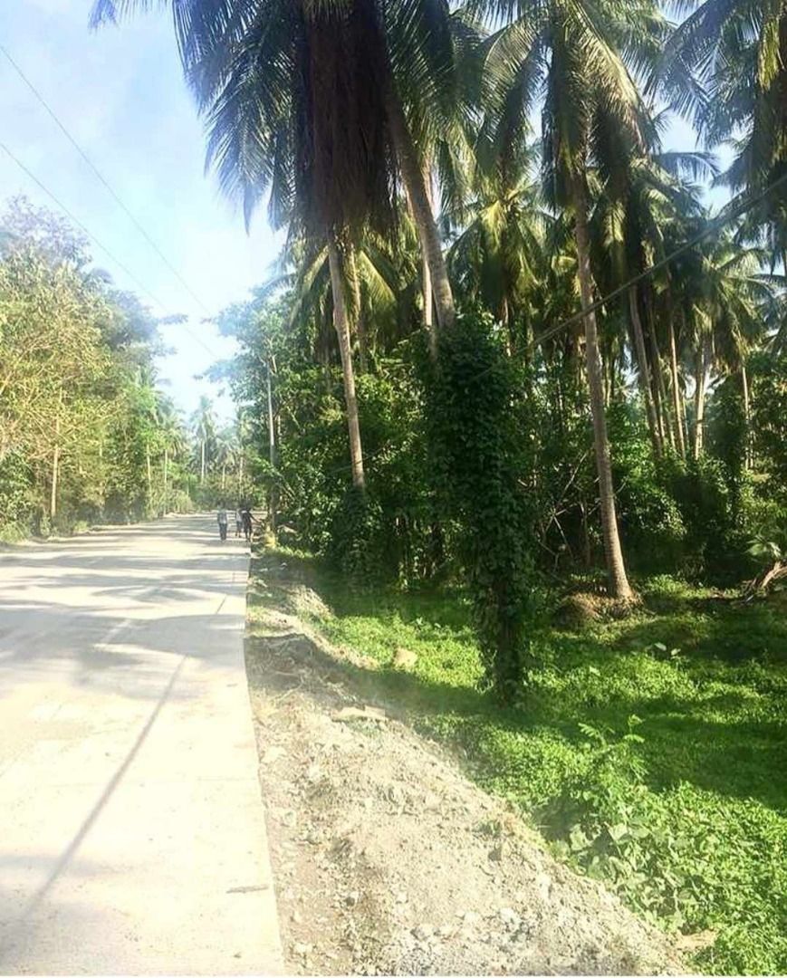 Lot for sale in Quezon Province suitable for Fish pond, Prawn Farm & Livestock Farm, Property
