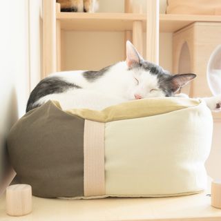 （分類：）位於 。 由 peterchan0831 提交（商品編號 1270187846，圖片 1）。簡介： 。