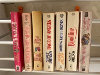 Novel Dewasa
