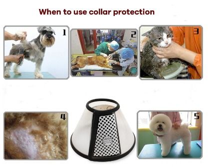 Pet Dog Cat Protective Cover Collar Neck Anti Bite Soft Anti