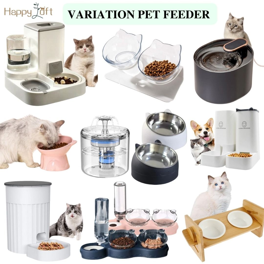 Gravity water sales bowl cat